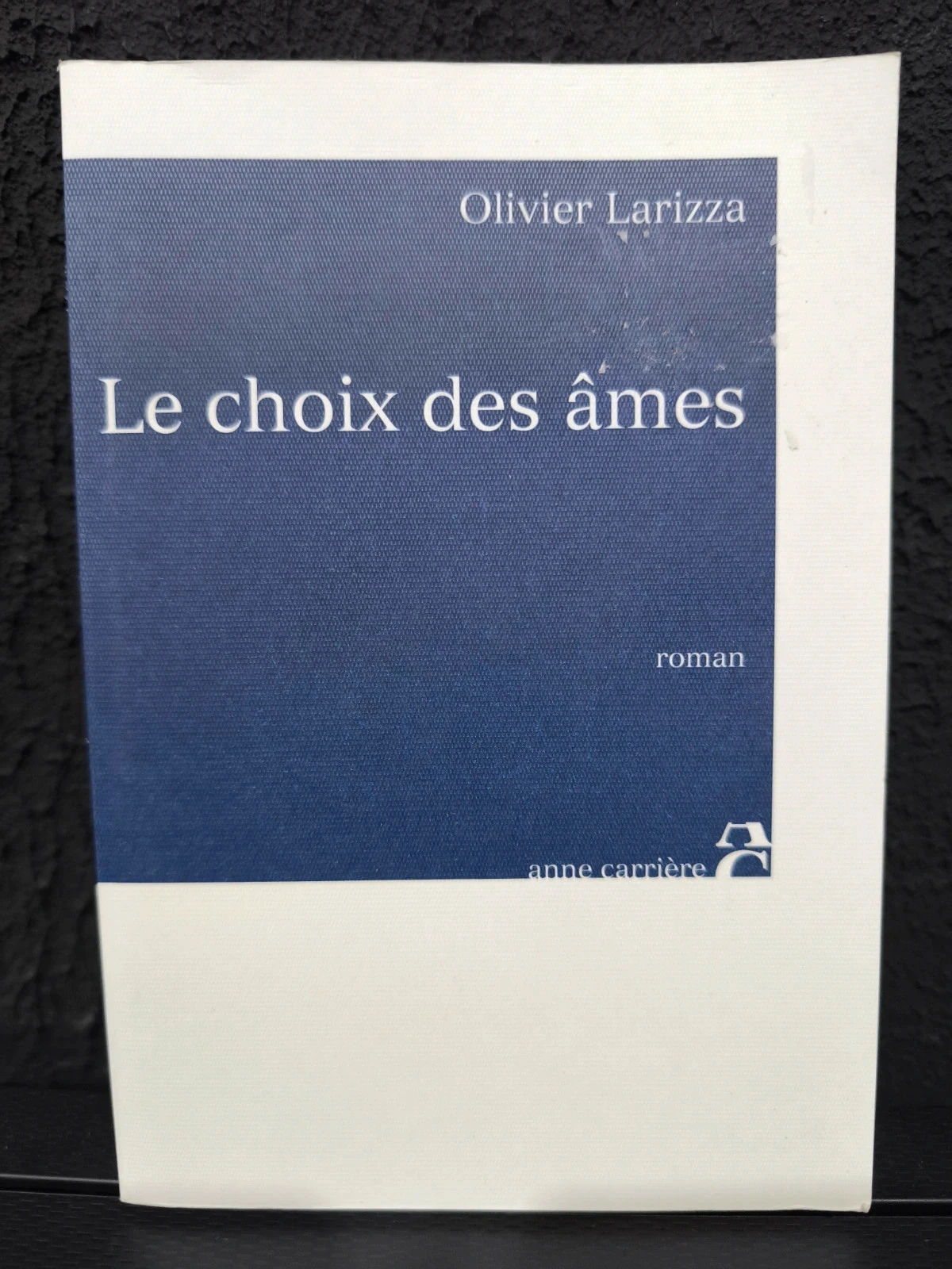 Le choix des âmes